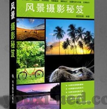 森林舞会官方免费下载-森林舞会，一场自然与音乐的浪漫邂逅